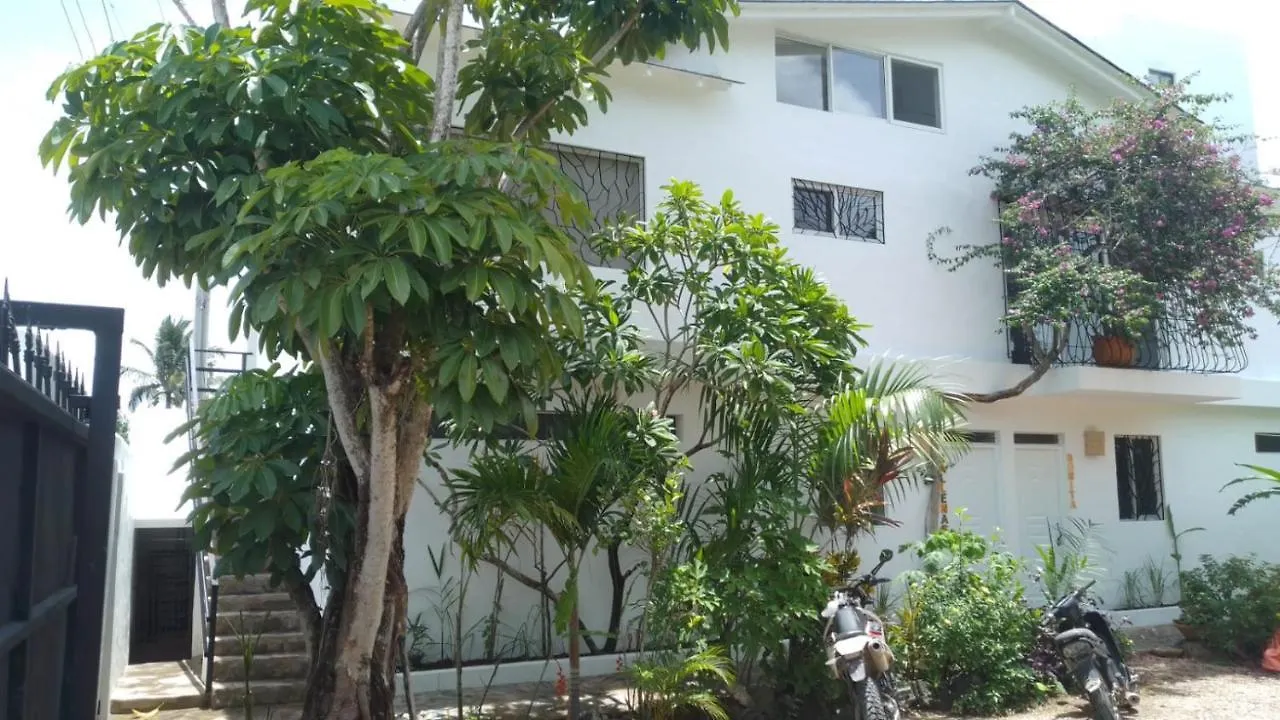 Apartamento New Moringa Las Terrenas